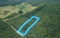 Shady Grove Trail, Prentiss, MS 39474