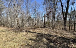 Honey Springs Rd, Crawford, TN 38554