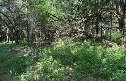 004 S. Wade Rd, Bennington, OK 74723