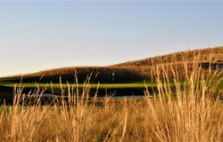 445 Blacktail Road, Eureka, MT 59917