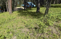 Tbd Mustang Way, Garden Valley, ID 83622