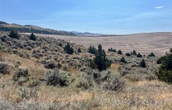 Homestead Rd, Three Forks, MT 59752
