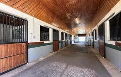 295 NE 110TH STREET, OCALA, FL 34479