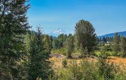 TROUT LAKE HWY, Trout Lake, WA 98650