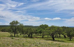 974 Blackbuck Ridge Drive, Lampasas, TX 76550