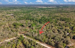 NE 82nd Pl lot: 362, Bronson, FL 32621
