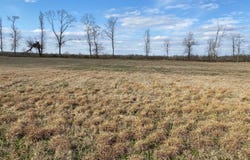 CRAVENS Rd lot: 47, Savannah, TN 38372