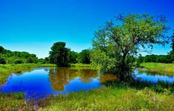 000 W Pleasant Valley Road, Henrietta, TX 76230