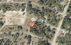 Tbd MALAUKA LANE, OCKLAWAHA, FL 32179