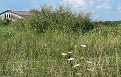 Tract# 23 Statham Rd, Liberty, KY 42539