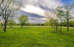 4804 County Road 4506, Commerce, TX 75428