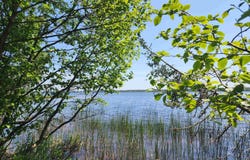 51683 Paradise, Lake Linden, MI 49945