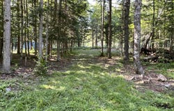 0 Beecher Park Way, Long Lake, NY 12847