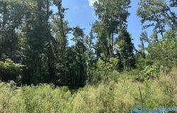 930 Dug Hill Road, Brownsboro, AL 35741