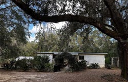 12212 NE 238TH TERRACE, SALT SPRINGS, FL 32134