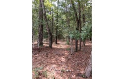 8070 Williford Road, Adams Run, SC 29426