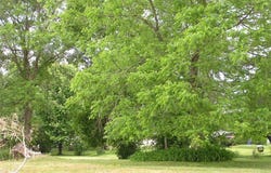 916 E 4th Street S, Ladysmith, WI 54848