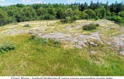195B Ficketts Point Road, Milbridge, ME 04658
