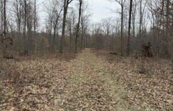 00 4 Mile Road, Sears, MI 49679