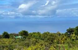 Piha Homesteads, Papaaloa, HI 96780