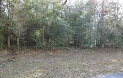 2690 W April Lane, Citrus Springs, FL 34654