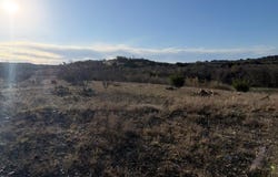 2220 Canyon Wren Loop, Graford, TX 76449