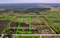 Lot 2 W Pendills Lake Road, Brimley, MI 49715