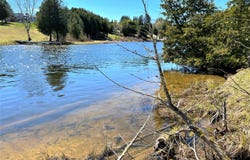 Off River Edge Drive, Cheboygan, MI 49721
