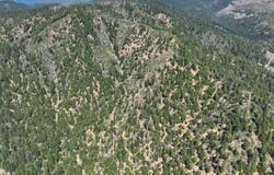 2510 Fs Road, Hyampom, CA 96046