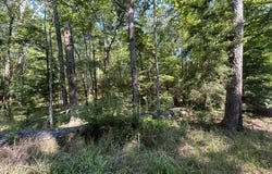 Parker Road, Crosby, MS 39633