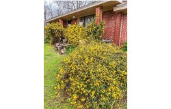 105 W Mockingbird Lane, McAlester, OK 74501