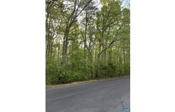 BLACK WALNUT RUN RD, RHOADESVILLE, VA 22542