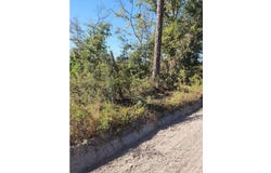 SE TBD HIGH FALLS ROAD, Lake City, FL 32025