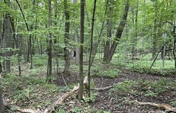 15 Acres RICHFIELD DRIVE, Arpin, WI 54410