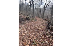 0 Charlie Wood Road, Delhi, NY 13752
