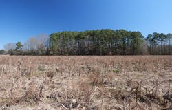 E Main Street, Carthage, MS 39051