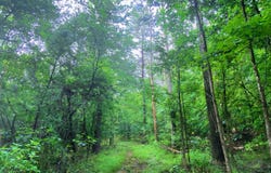 54 Eagle Nest Ln, Broken Bow, OK 74728