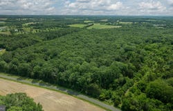 11326 ROGUES ROAD S, MIDLAND, VA 22728