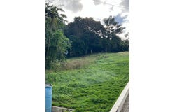 PR-931 Torregrosa, Gurabo, 00778