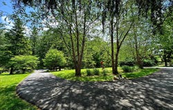 11501 SKIPWITH LANE, POTOMAC, MD 20854
