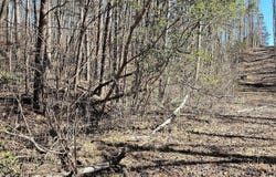 30 & 48 Dogwood, Martin, GA 30557