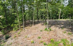 Lt 314 Pebble Trace, Talking Rock, GA 30175