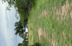 406 Barnett St, Eden, TX 76837