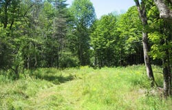 1260 Valentine Pond Road, Horicon, NY 12808