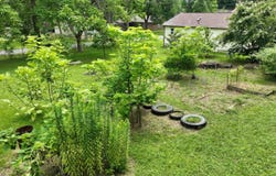 106 Wimberly, Mena, AR 71953