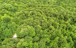 Forest Trail Drive lot: 6, Turner, ME 04282