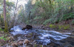 0 Crown Point, Forest Ranch, CA 95942