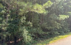 0 Amanda Court, Greenville, GA 30222