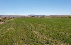 857 R Road, Mack, CO 81525