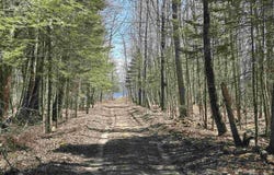 TBD Lot 27 1st St, Manistique, MI 49854